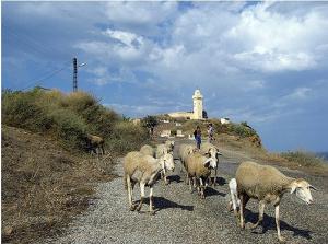 Du coté de Sidi Braham