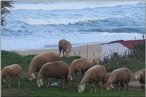 Paysage de Déca Plage