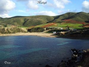 Paysage de la plage de Madagh