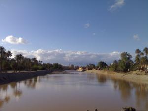 l'oued de béchar