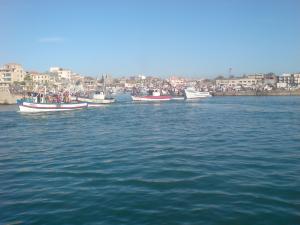 Port de pêche de Zemmouri