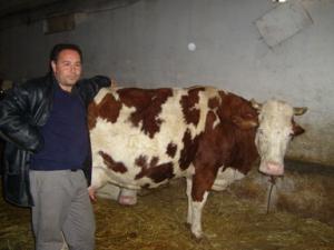 brahim éleveur de bobins