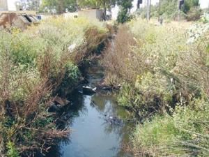 Gestion des déchets toxiques: L’Algérie frôle la catastrophe écologique!