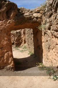 Taoughzout (Qalat Beni Salama) siège des grottes troglodytes (protohistoriques). Elles sont connues actuellement sous le nom de grottes d\'Ibn Khaldoun