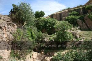 Taoughzout (Qalat Beni Salama) siège des grottes troglodytes (protohistoriques). Elles sont connues actuellement sous le nom de grottes d\'Ibn Khaldoun