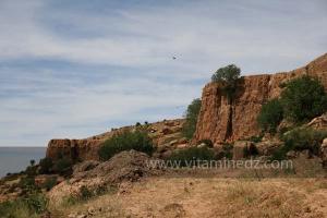 Taoughzout (Qalat Beni Salama) siège des grottes troglodytes (protohistoriques). Elles sont connues actuellement sous le nom de grottes d\'Ibn Khaldoun