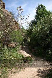Taoughzout (Qalat Beni Salama) siège des grottes troglodytes (protohistoriques). Elles sont connues actuellement sous le nom de grottes d\'Ibn Khaldoun