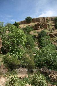Taoughzout (Qalat Beni Salama) siège des grottes troglodytes (protohistoriques). Elles sont connues actuellement sous le nom de grottes d\'Ibn Khaldoun
