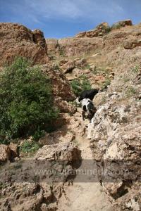 Taoughzout (Qalat Beni Salama) siège des grottes troglodytes (protohistoriques). Elles sont connues actuellement sous le nom de grottes d\'Ibn Khaldoun