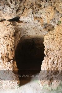 Taoughzout (Qalat Beni Salama) siège des grottes troglodytes (protohistoriques). Elles sont connues actuellement sous le nom de grottes d\'Ibn Khaldoun
