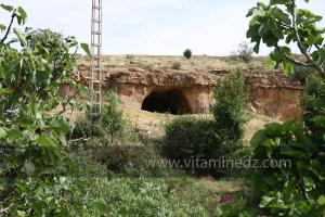 Taoughzout (Qalat Beni Salama) siège des grottes troglodytes (protohistoriques). Elles sont connues actuellement sous le nom de grottes d\'Ibn Khaldoun