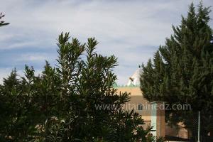 Sidi Khaled Boukabrine à Taoueghzout