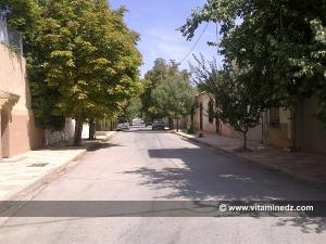 Ruelles ombragées de l'ancien village de Mansourah