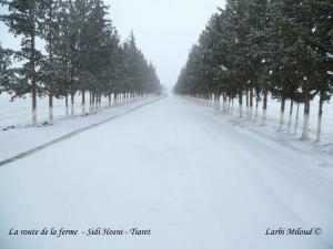 La route de la ferme - Sidi Hosni - Tiaret