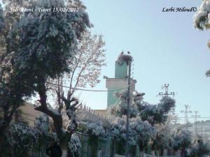 Sidi Hosni Tiaret 15/02/2012