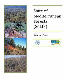 TLEMCEN - LA FORET AU SERVICE DU DEVELOPPEMENT DURABLE