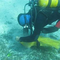 MOSTAGANEM  -  CAMPAGNE DE NETTOYAGE DES FONDS MARINS