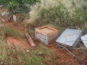 la crue a détruit les ruches