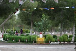 Petit coin tranquille pour familles près du barrage de Hammam Boughrara