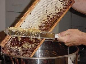 BOUIRA -  LE MIEL TROP CHER !