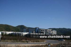 Université Abderrahmane Mira de Bejaïa