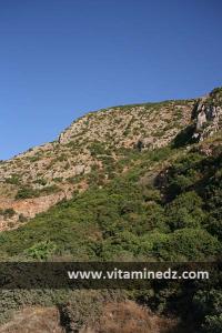 Montagnes escarpées du Djurdjura, de Bejaïa vers Jijel ... des vues imprenables