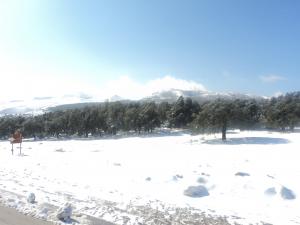 Maouna sous la neige