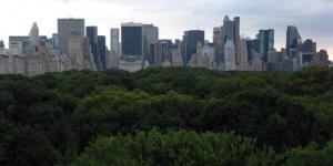 Planète - La ville, clé de la survie de la planète