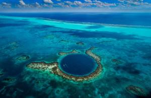 Planète - Yann Arthus-Bertrand fait le point sur les océans