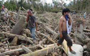 Planète - Philippines: le typhon Bopha a fait plus 900 morts