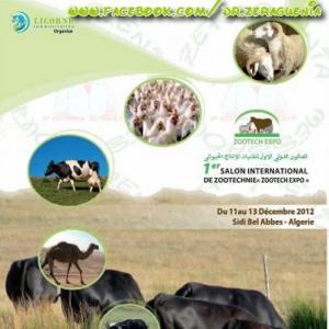 Sidi Bel Abbès - Coup d’envoi du 1er salon de zootechnie