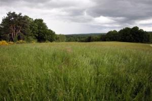 Planète - L'Europe étend ses espaces naturels protégés de 25.000 km2