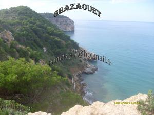 GHAZAOUET--FORET       LA BATTERIE