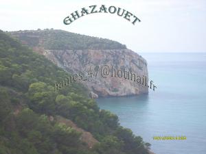 GHAZAOUET--FORET       LA BATTERIE