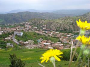 azrou  colla tamorthi azizen