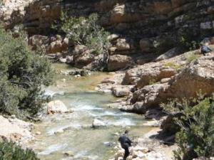 Batna -  Séminaire international sur les ressources en eau:  Appel à la révision de la législation sur l’eau