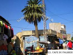 ANCIEN CAFÉ DU PALMIER.