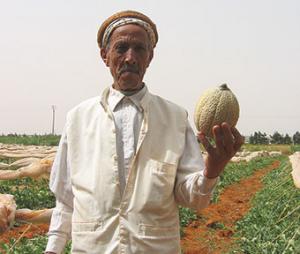Mostaganem - Produits agricoles:  La valorisation du terroir en question