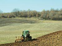 Oum El Bouaghi -  Le spectre de la sécheresse plane sur la région