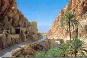 UN OUVRAGE ROUTIER Y EST PRÉVU:  Menace sur le site touristique d’El-Kantara