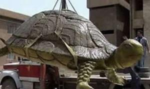 ظهور سلحفاة عملاقة، الخميس بشاطئ بوزجار بعين تموشنت، .