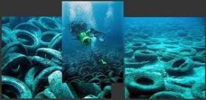 Secteur de la pêche à Tipasa  -  Le nettoyage des fonds marins, une nécessité