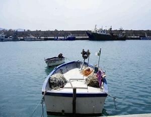 Azeffoun -  Journée de sensibilisation sur la réglementation de la pêche