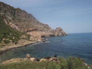 خيرات بلادي