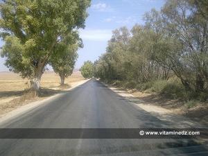 Route Nationale N°13 allant de Oued Tlelat vers Arzew
