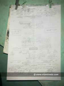 Arbre généalogique de Sidi Maammar Ben El Aliya enterré à Tlemcen