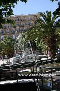 L'Hôtel Tagdemt en plein centre ville de Tiaret, récemment construit par le Groupe Metidji