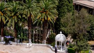Hotel Tlemcen Les Zianides, Jardins