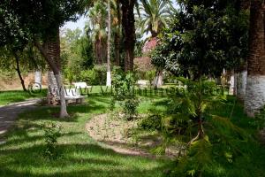 Hotel Tlemcen Les Zianides, jardins palmiers gazon