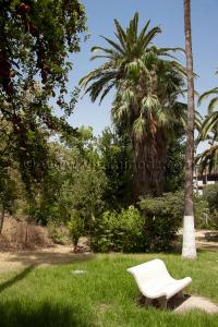 Jardin Hotel Tlemcen Les Zianides